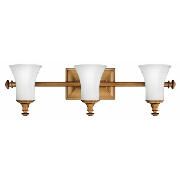 Hinkley Alice 3-Light Vanity Light in Brushed Bronze