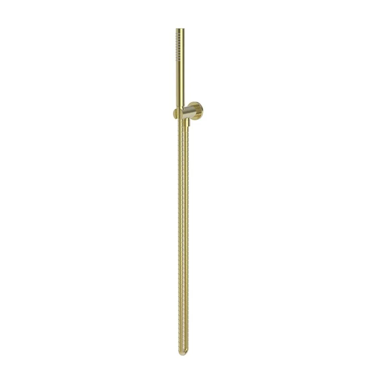 Handshower Set Tub and Shower Contemporary Polished Brass Uncoated Living 1 Function 1.8 Gallons per Minute