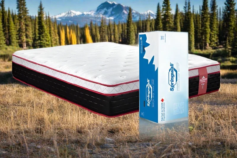 California King Size Chiropractic Pelee 13" Pocket Coil Mattress