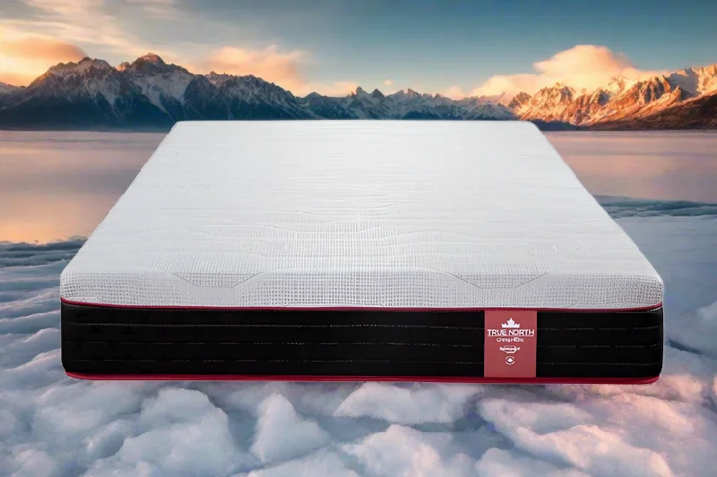 RV King Size Chiropractic Glacier 12" Hybrid Mattress