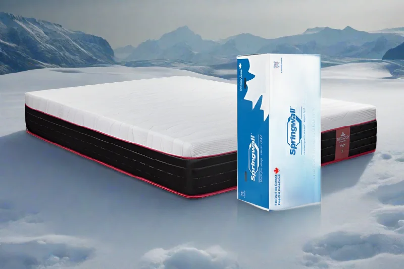 Springwall Chiropractic Glacier 12" Pocket Coil Hybrid Medium Mattress